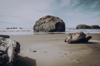 The brown rock that forms on the coast during the day
